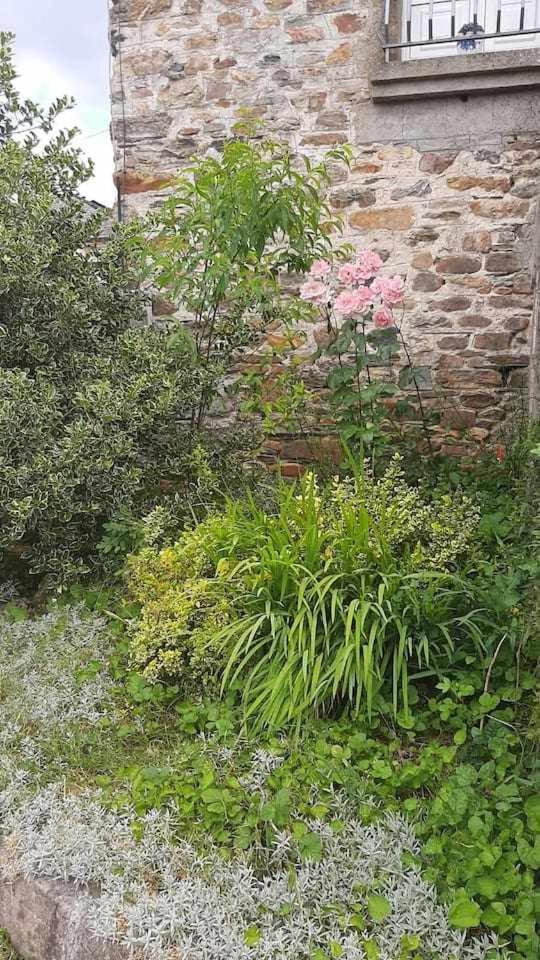 Casa Do Hiebra Alojamiento Rural Ribeira Sacra Castroncelos Zewnętrze zdjęcie
