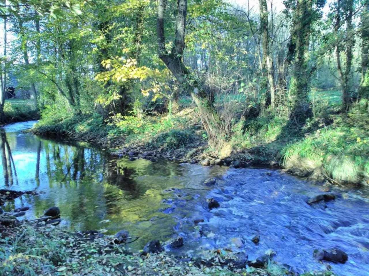 Casa Do Hiebra Alojamiento Rural Ribeira Sacra Castroncelos Zewnętrze zdjęcie