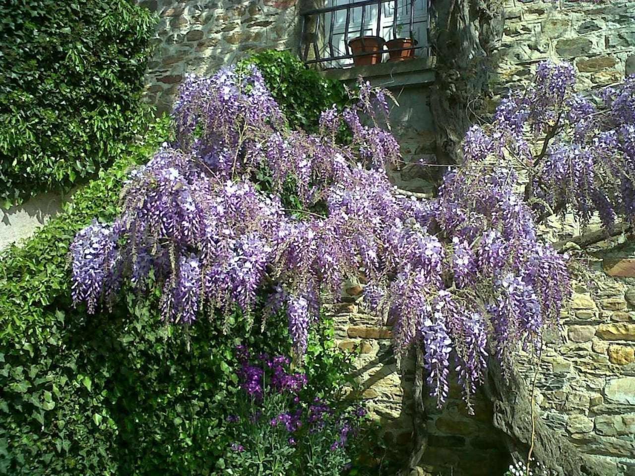 Casa Do Hiebra Alojamiento Rural Ribeira Sacra Castroncelos Zewnętrze zdjęcie